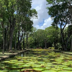 Supplier photograph for Private Guided Tour of Northern Mauritius with Shopping in Port Louis