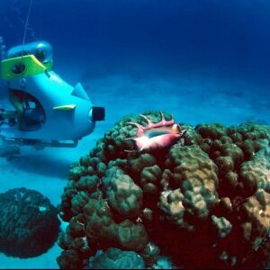 Supplier photograph for Private Northern Tour with Submarine Scooter activity and Lunch