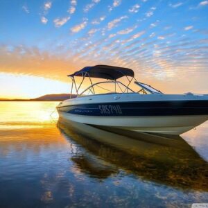 Supplier photograph for Private Speed Boat Tour and Dolphin Encounter at Ile aux Benitier