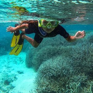 Supplier photograph for Snorkel, Explore & Discover: The East with blue bay marine park