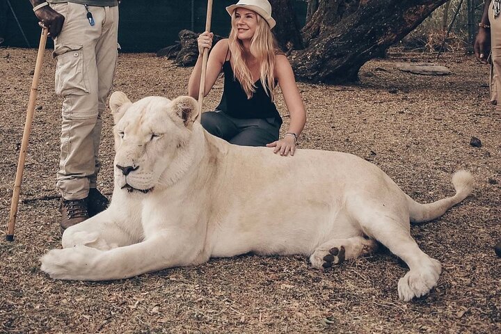 Supplier photograph for South Discovery With Wild Life Safari at Casela Park with Lunch