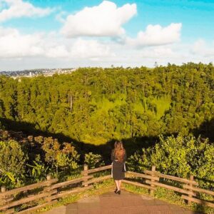 Supplier photograph for South Mauritius Tea Plantation & Rum Discovery Tour