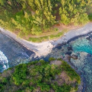 Supplier photograph for South Mauritius Tea Plantation & Wild Coast Discovery Tour