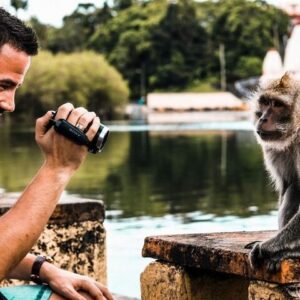 Supplier photograph for South West Mauritius Scenic & Cultural Discovery Tour