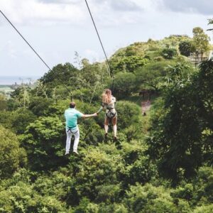 Supplier photograph for The Adventure Tour: Vallée des Couleurs & La Vanille Nature Parks & Gris Gris
