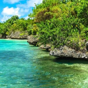Supplier photograph for The Exotic East: Ile aux Aigrettes & Blue Bay marine park & Lunch