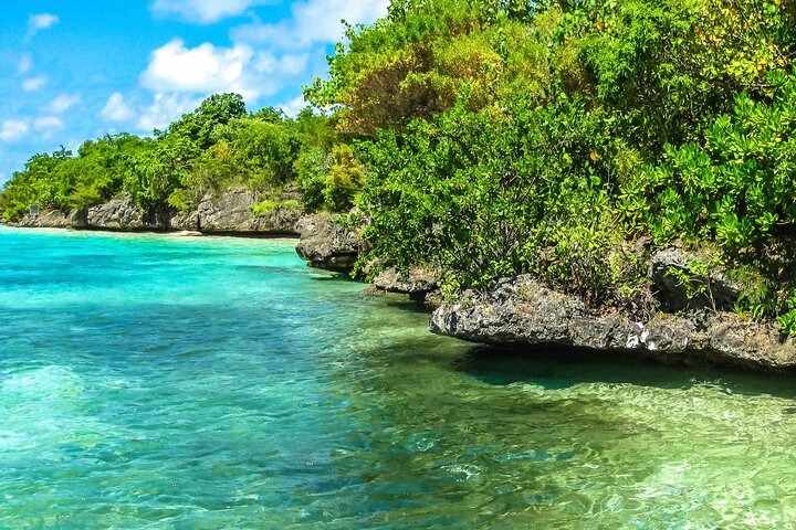 Supplier photograph for The Exotic East: Ile aux Aigrettes & Blue Bay marine park & Lunch