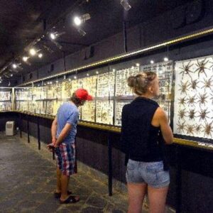 Supplier photograph for The Mauritius Museum Tour (South)