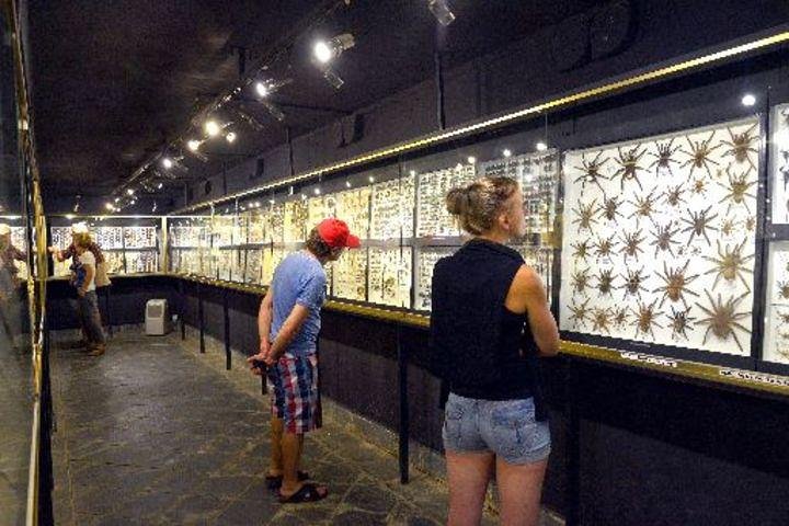 Supplier photograph for The Mauritius Museum Tour (South)