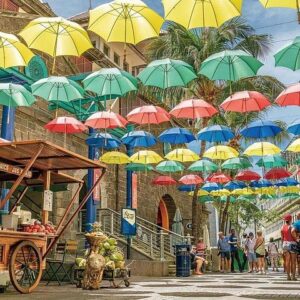Supplier photograph for Tropical North Island Tours