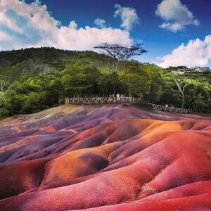 Supplier photograph for Tropical South-West: Full-day All Inclusive tour (Visit 3 parks)