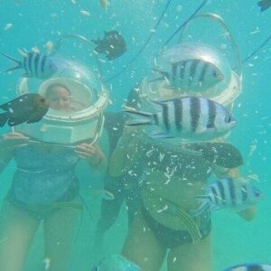 Supplier photograph for Undersea Walk & North Tour in Private Taxi with Local Lunch