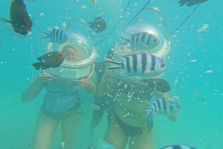 Supplier photograph for Undersea Walk & North Tour in Private Taxi with Local Lunch