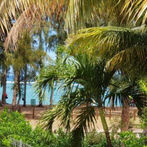 Villa Bienvenue Flic en Flac in Flic en Flac, Mauritius