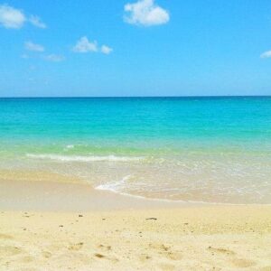 Supplier photograph for Visit 4 Beaches in the North Including Mont Choisy & Pereybere