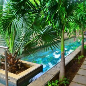 Westwood Appartment C8 Penthouse with Terrace Flic en Flac in Flic en Flac, Mauritius