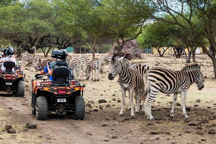 Supplier photograph for Wild South West Tour : SAFARI & TULAWAKA CASELA PARK & LE MORNE